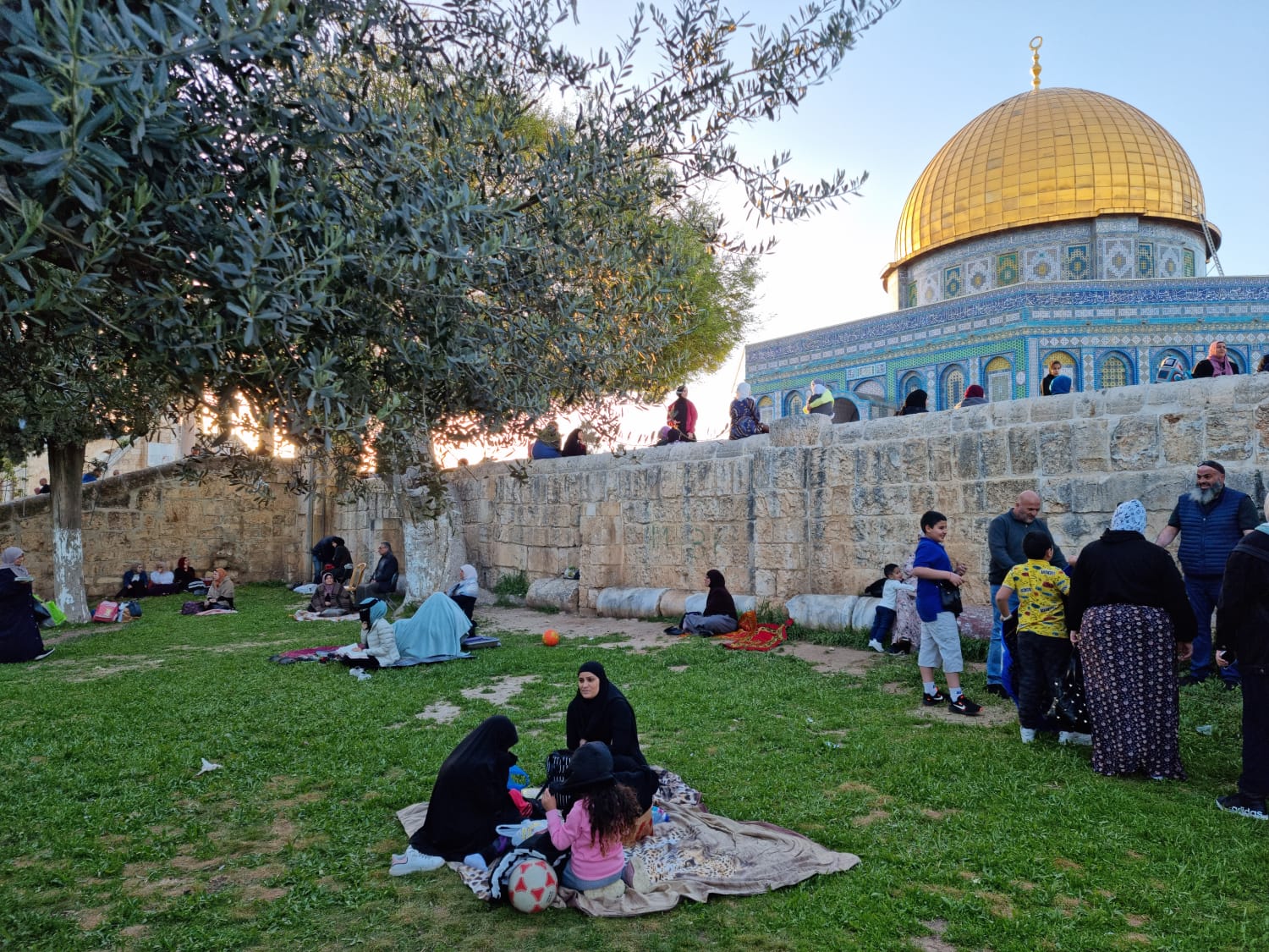 WhatsApp Image 2022-04-11 at 6.49.24 PM.jpeg